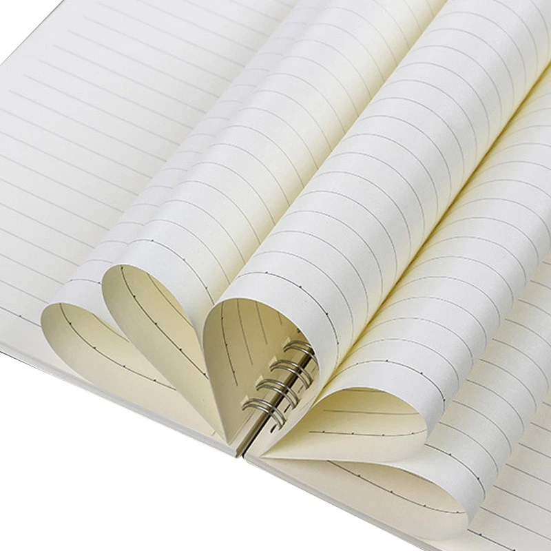 Double-sided Spiral Notebook best